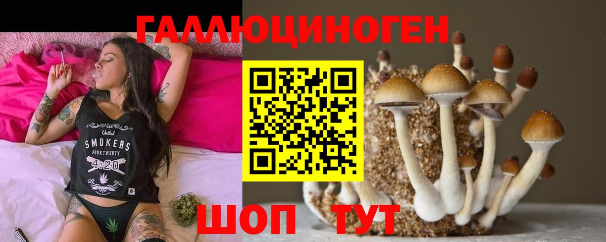 Галлюциногенные грибы мухоморы  Псилоцибиновые грибы прущие грибы  Вход с VPN  Кудрово 